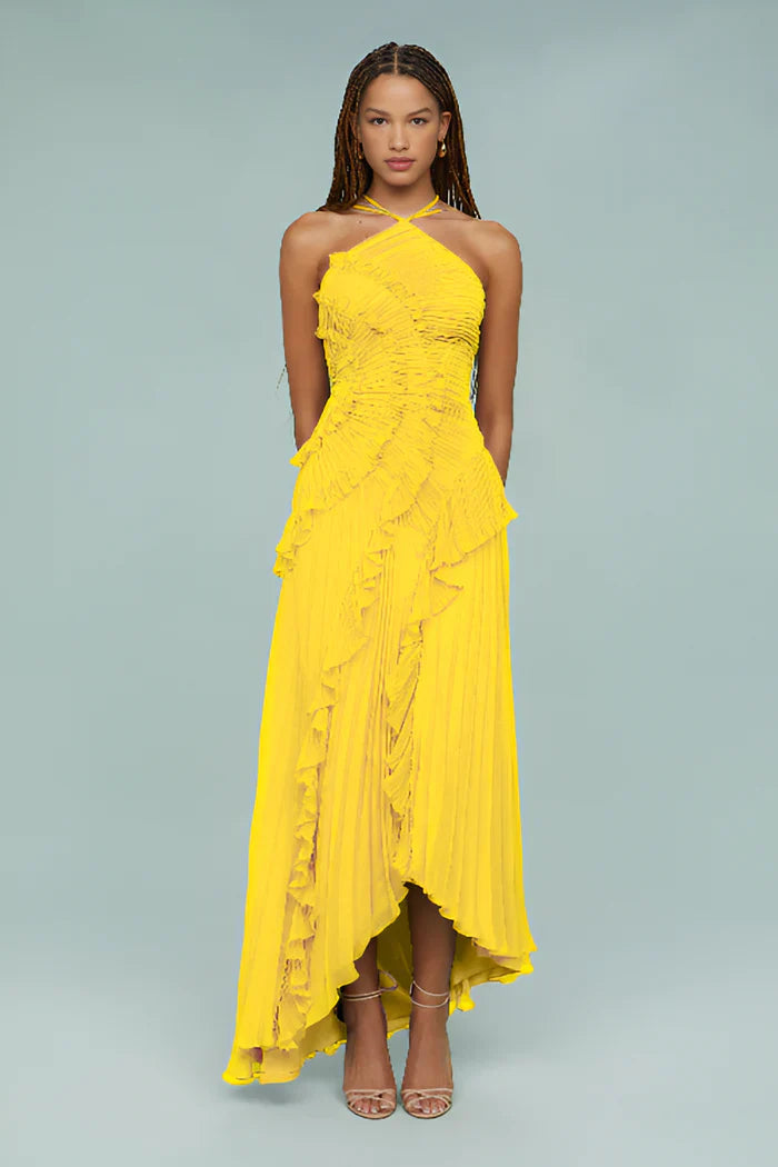 Ruffled Pleated Maxi Dress