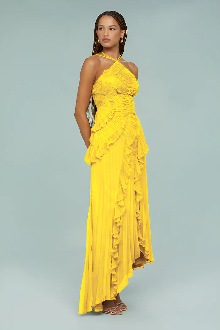Ruffled Pleated Maxi Dress