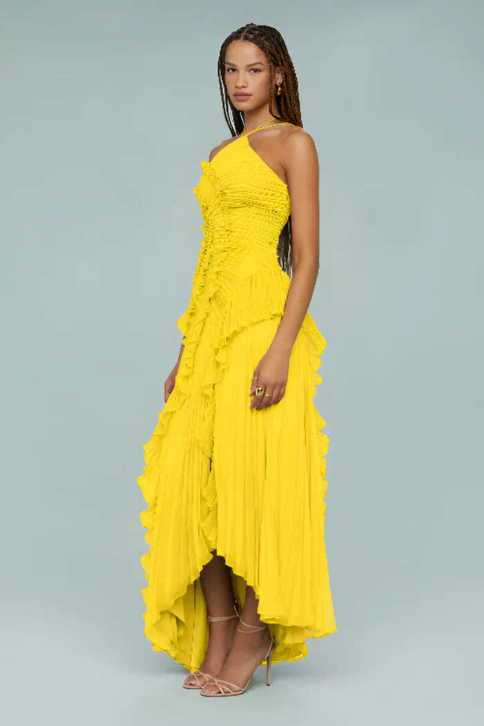 Ruffled Pleated Maxi Dress