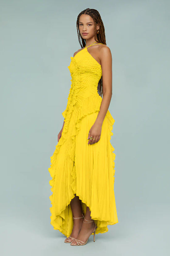 Ruffled Pleated Maxi Dress