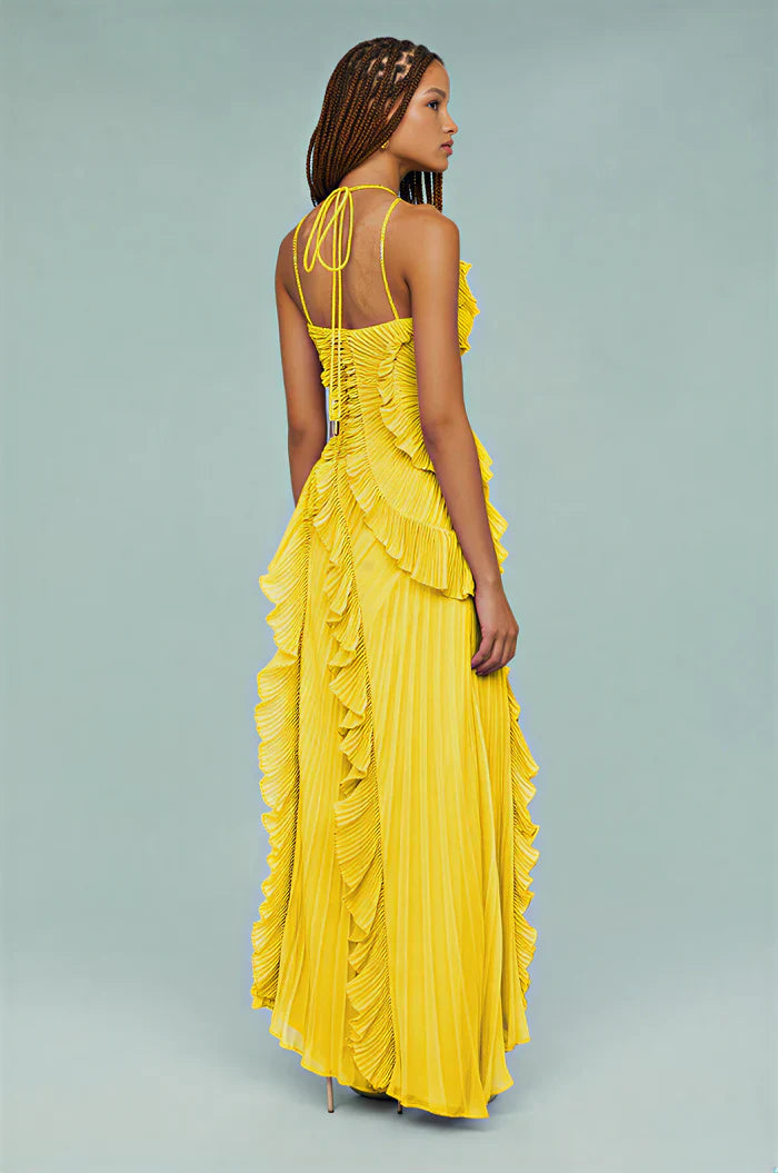 Ruffled Pleated Maxi Dress